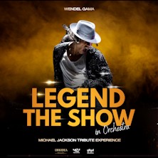 Michael The Show In Orchestra PALAFORUM BELLAVIA